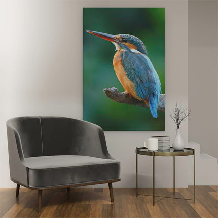 Canvas schilderij interieur Blauw Oranje IJsvogel Op Een Tak