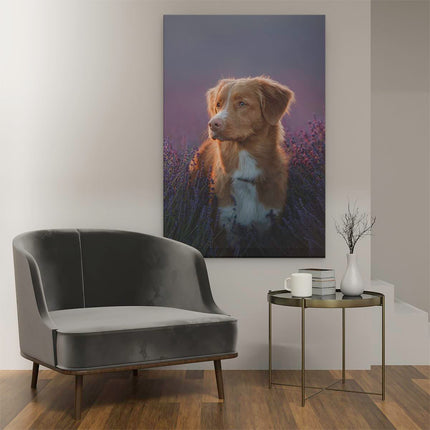 Canvas schilderij interieur Retriever Hond Tussen De Lavendel Bloemen