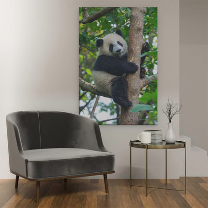 Canvas schilderij interieur Panda in de Bomen