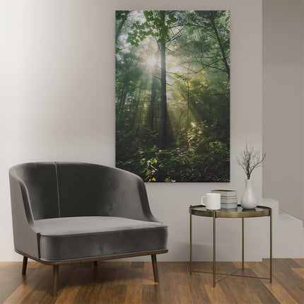 Canvas schilderij interieur De Zon schijnt door de Bomen in het Bos