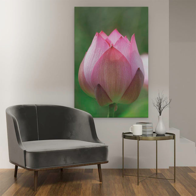 Canvas schilderij interieur Roze Lotusbloem