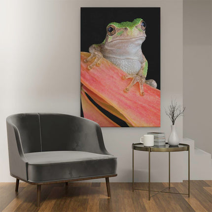 Canvas schilderij interieur Kikker II
