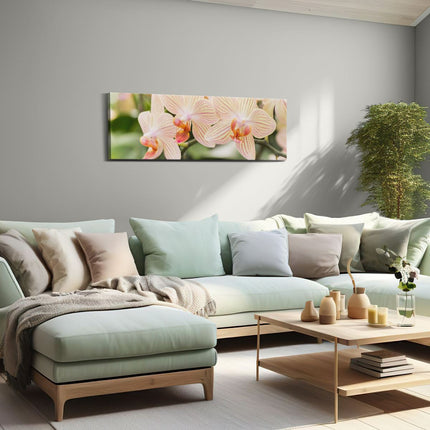 Canvas Schilderij Woonkamer Schilderij Kleurrijke Kosmos Bloemenveld