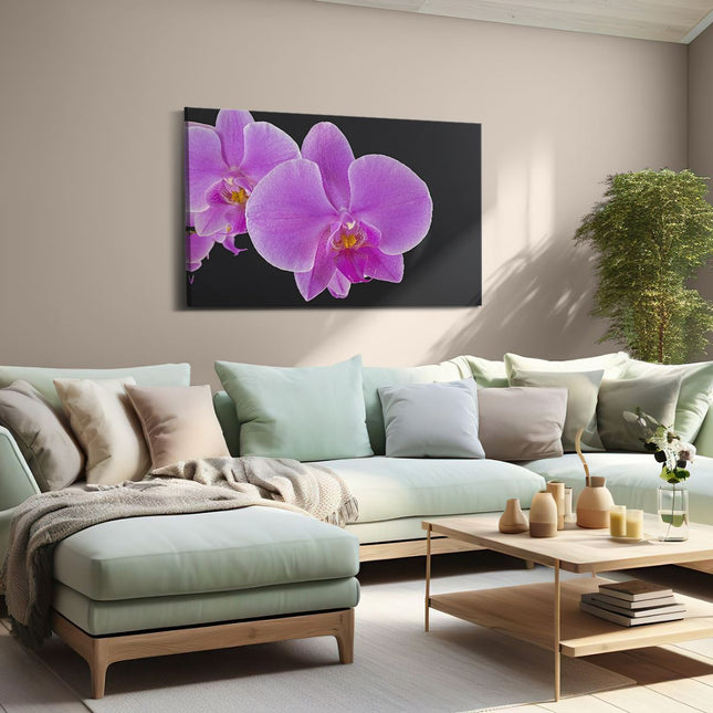 Canvas schilderij woonkamer Licht Paarse Orchidee - Bloem