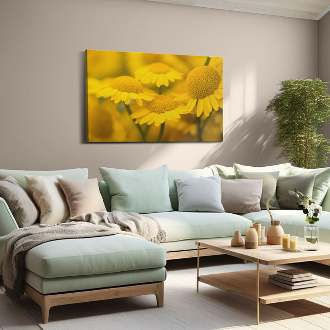 Canvas schilderij woonkamer Gele Kamille Bloemen