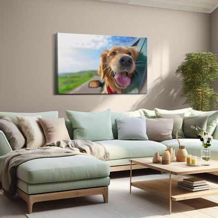 Canvas schilderij woonkamer Golden Retriever Hond Uit Een Auto Raam