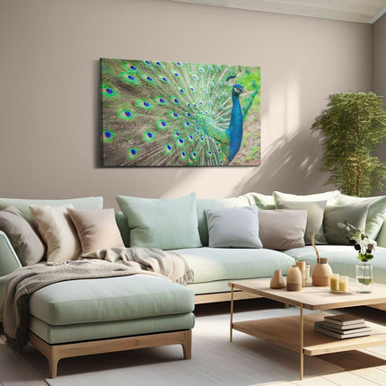 Canvas schilderij woonkamer Pauw Met Kleurrijke Veren