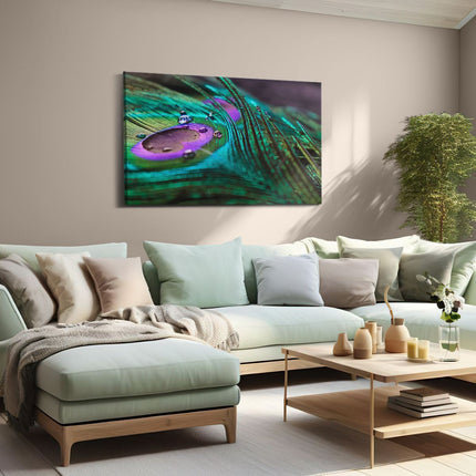 Canvas schilderij woonkamer Kleurrijke Pauw Veer Met Waterdruppels