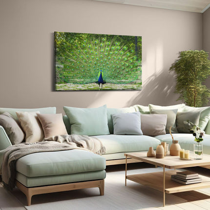 Canvas schilderij woonkamer Pauw Met Grote Kleurrijke Veren