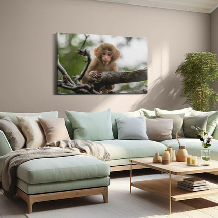 Canvas schilderij woonkamer Klein Baby Aapje Op Een Tak