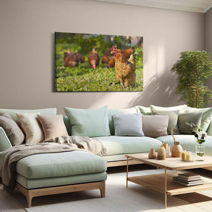Canvas schilderij woonkamer Kippen in het Gras