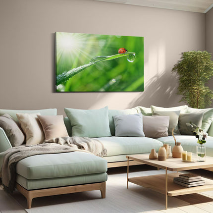 Canvas schilderij woonkamer Lieveheersbeestje op een Grasspriet