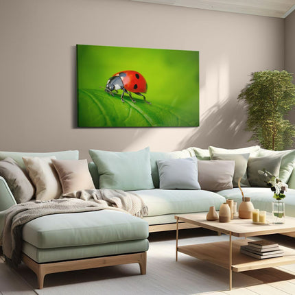 Canvas schilderij woonkamer Lieveheersbeestje op een Groen Blad 