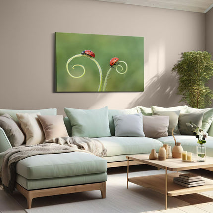 Canvas schilderij woonkamer Twee Lieveheersbeestjes in het Gras