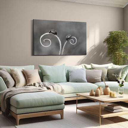 Canvas schilderij woonkamer Twee Lieveheersbeestjes in het Gras - Zwart Wit