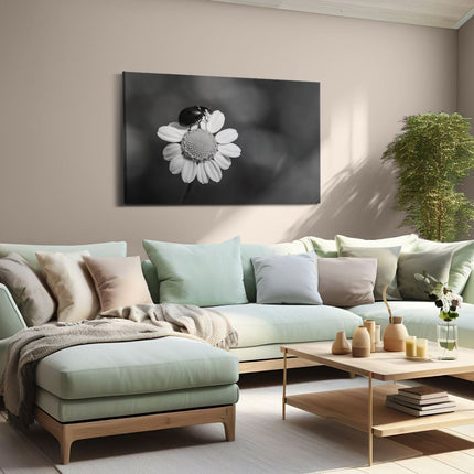 Canvas schilderij woonkamer Lieveheersbeestje op een Madeliefje - Zwart Wit