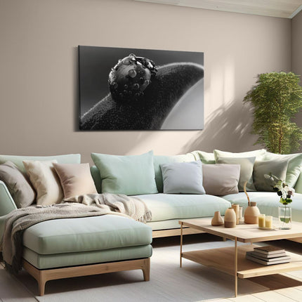 Canvas schilderij woonkamer Lieveheersbeestje op een Blad met Waterdruppels - Zwart Wit
