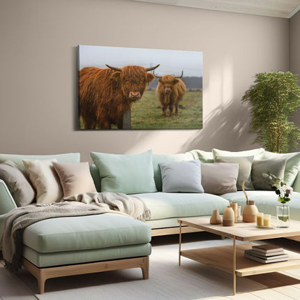 Canvas schilderij woonkamer Twee Schotse Hooglanders in de Weide