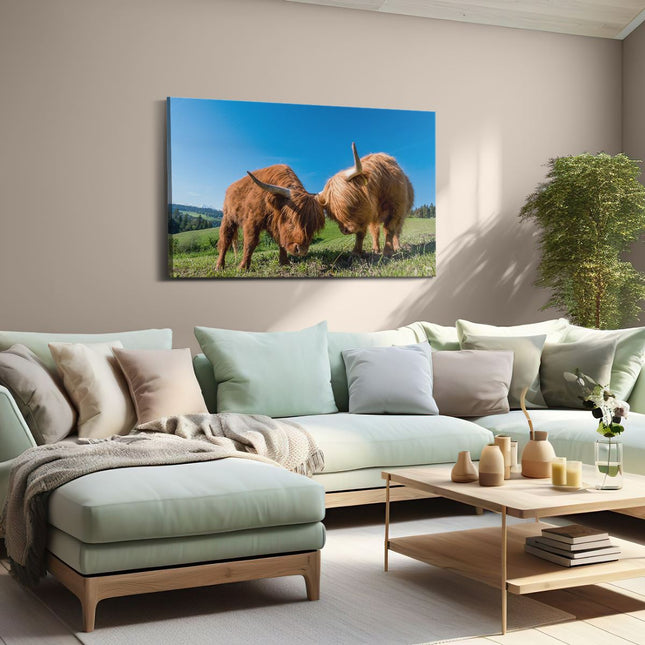 Canvas schilderij woonkamer Twee Schotse Hooglanders op een Heuvel