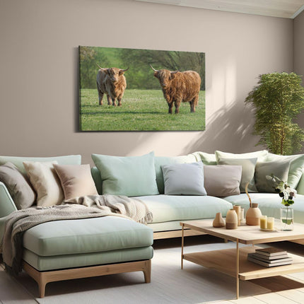 Canvas schilderij woonkamer Twee Schotse Hooglanders op het Gras