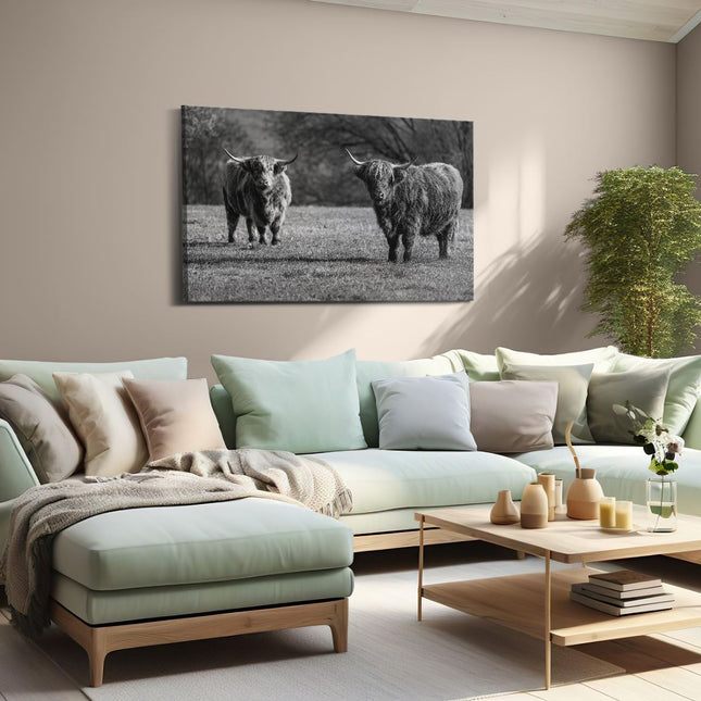 Canvas schilderij woonkamer Twee Schotse Hooglanders op het Gras - Zwart Wit