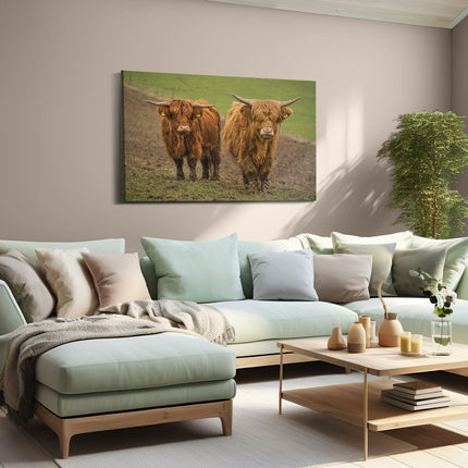 Canvas schilderij woonkamer Twee Schotse Hooglanders in de Weide