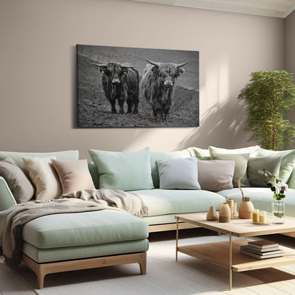 Canvas schilderij woonkamer Twee Schotse Hooglanders in de Weide - Zwart Wit