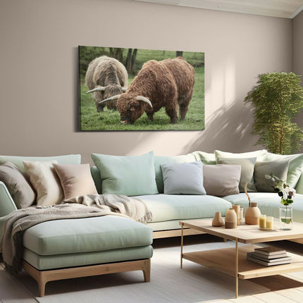 Canvas schilderij woonkamer Twee Schotse Hooglanders Grazen Gras