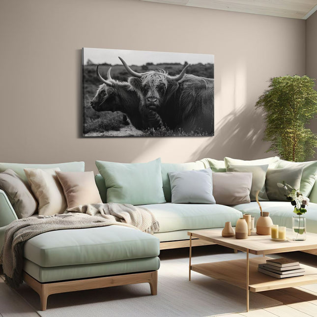 Canvas schilderij woonkamer Twee Schotse Hooglander Koeien - Zwart Wit