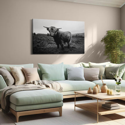 Canvas schilderij woonkamer Schotse Hooglanders in het Veld - Zwart Wit