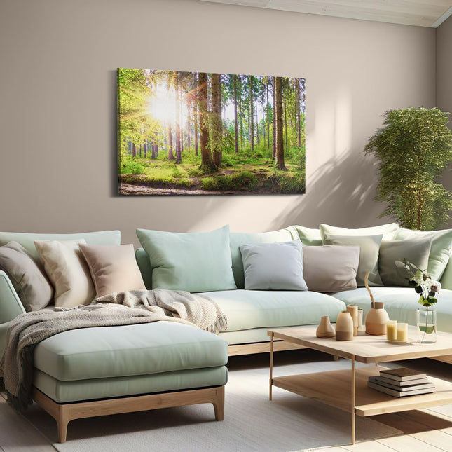 Canvas schilderij woonkamer Bos met Zon tussen de Bomen