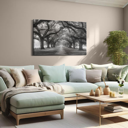 Canvas schilderij woonkamer Zwart Wit Beeld van een met Bomen Omzoomd Pad