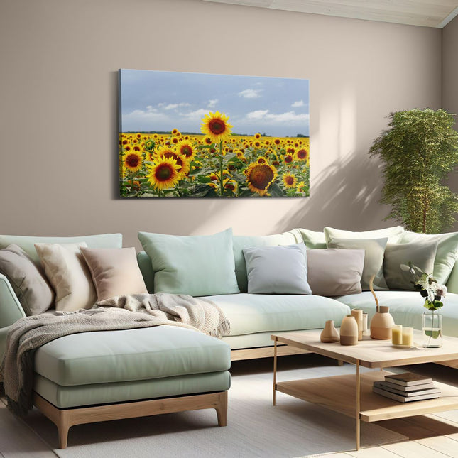 Canvas schilderij woonkamer Zonnebloemen
