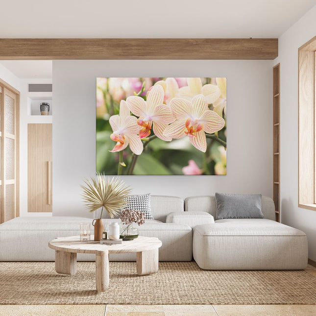 Canvas Schilderij Woonkamer Gestreepte Witte Orchidee Bloemen