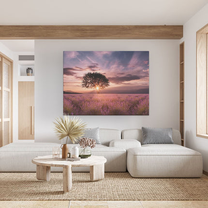 Canvas Schilderij Woonkamer Bloemenveld Met Lavendel Bij Zonsondergang