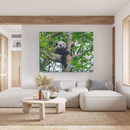 Canvas Schilderij Woonkamer Panda in de Bomen