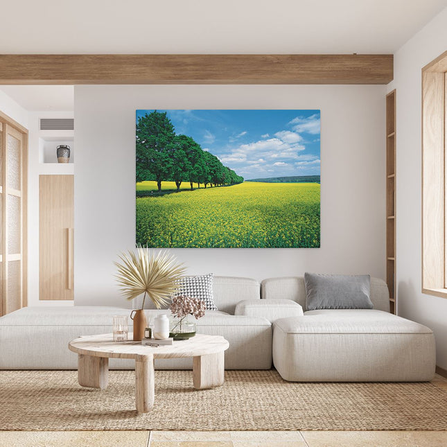 Canvas Schilderij Woonkamer Weide Landschap Natuur
