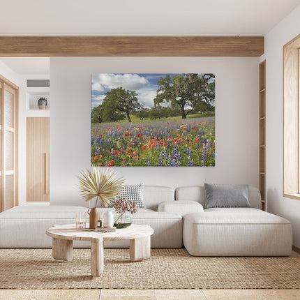 Canvas Schilderij Woonkamer Veld met Wilde Bloemen in Texas