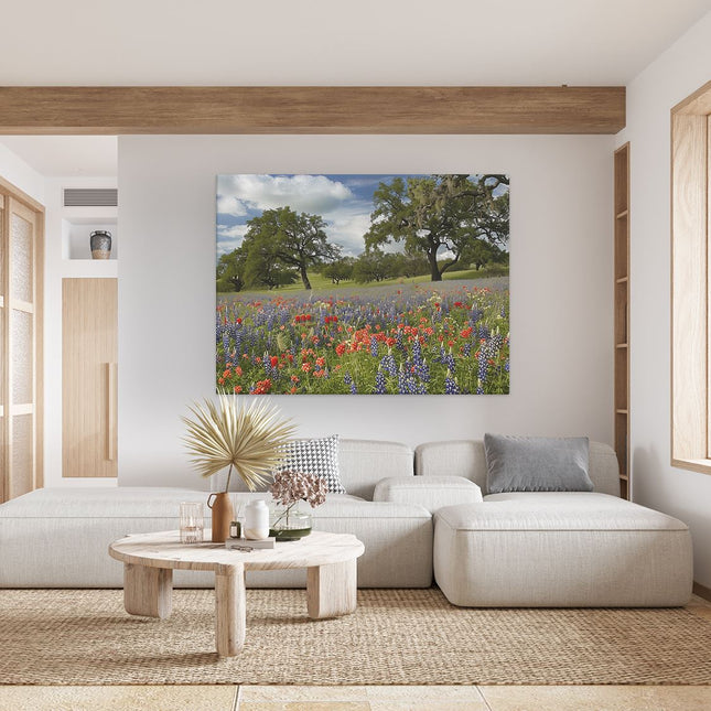 Canvas Schilderij Woonkamer Veld met Wilde Bloemen in Texas