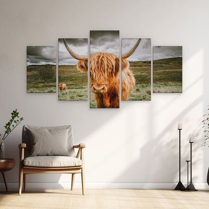 Schilderij vijfluik woonkamer schotse hooglanders in de wei - kleur