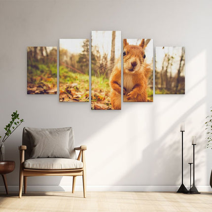 Schilderij vijfluik woonkamer eekhoorn in het bos tijdens de herfst