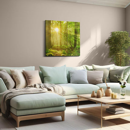 Canvas schilderij woonkamer Groen Bos Met Schijnende Zonnestralen
