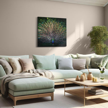 Canvas schilderij woonkamer Pauw Met Kleurrijke Veren - Kleur