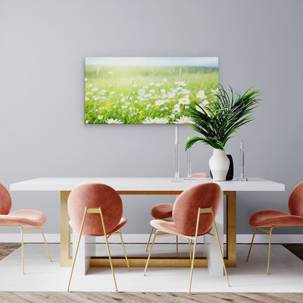 Canvas schilderij woonkamer Bloemenveld Van Madeliefjes - Bloemen