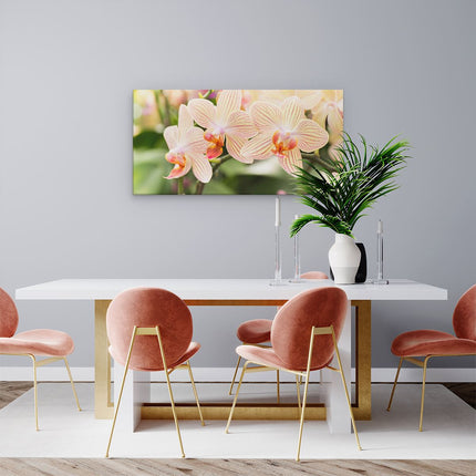 Canvas schilderij woonkamer Gestreepte Witte Orchidee Bloemen
