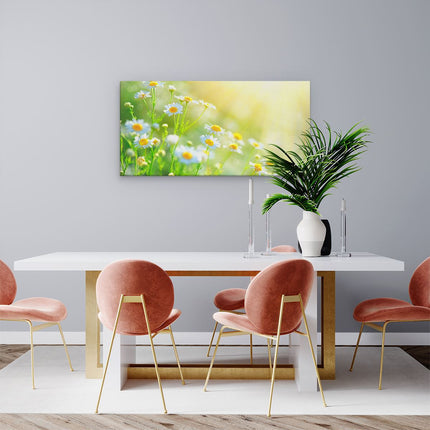 Canvas schilderij woonkamer Witte Kamille Bloemen Met Zonneschijn