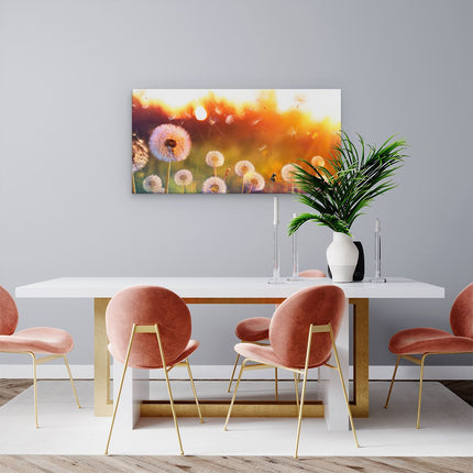 Canvas schilderij woonkamer Paardenbloemen Tijdens Zonsondergang