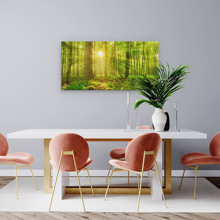 Canvas schilderij woonkamer Groen Bos Met Schijnende Zonnestralen