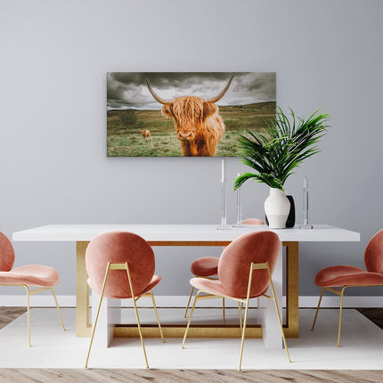 Canvas schilderij woonkamer Schotse Hooglanders In De Wei - Kleur