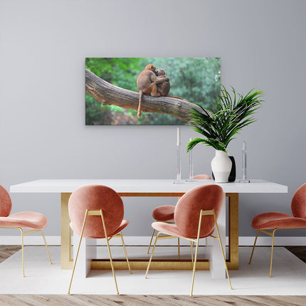 Canvas schilderij woonkamer Twee Apen Vrienden Op Een Tak In Een Boom